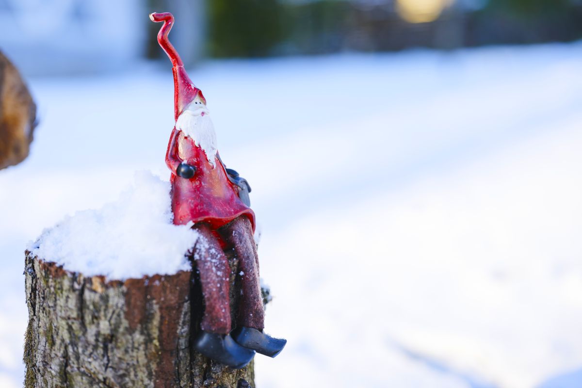 栃木県那須町　宿泊税について